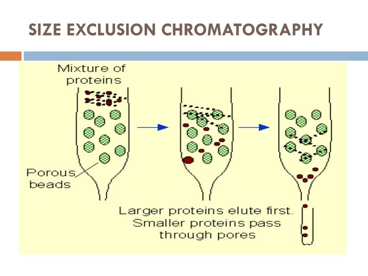 applications of ion exchange chromatography