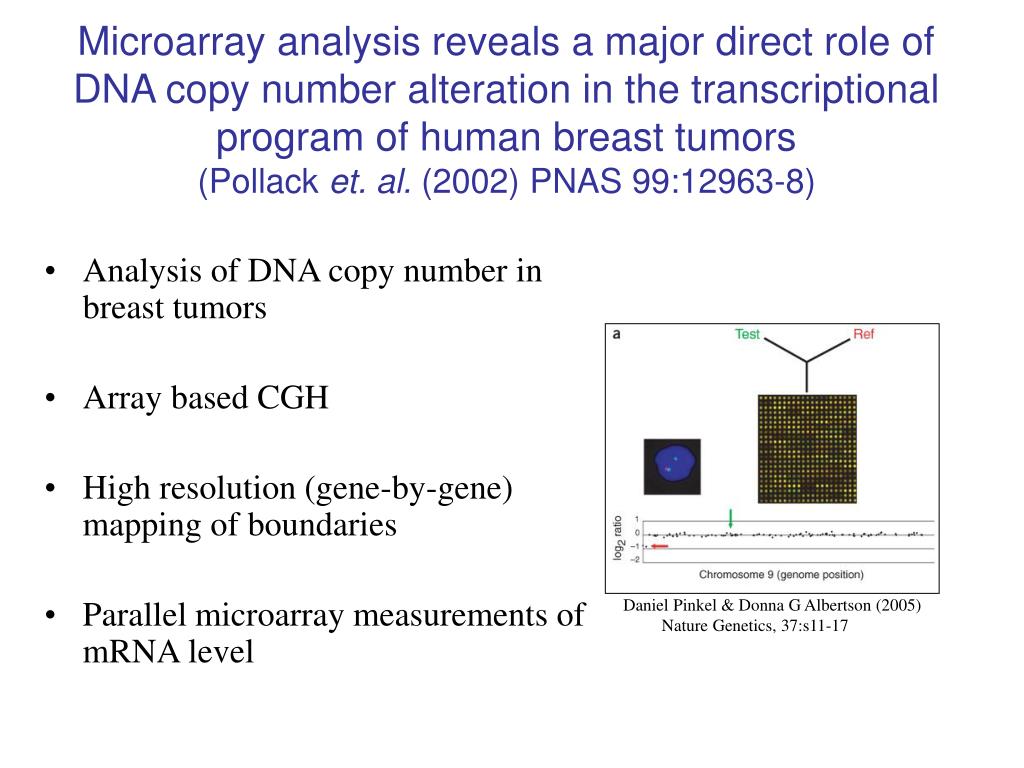 array comparative genomic hybridization and its applications in cancer