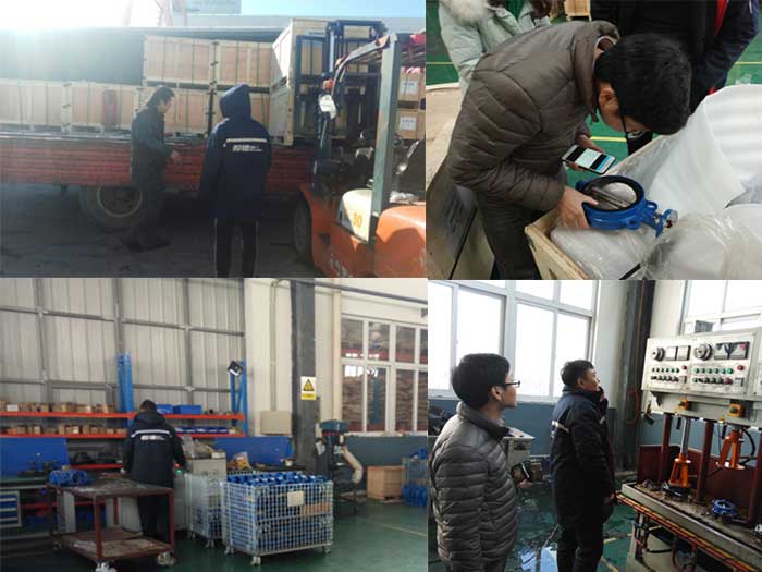 butterfly valve for slurry application