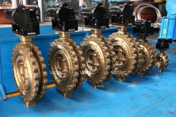 butterfly valve for slurry application