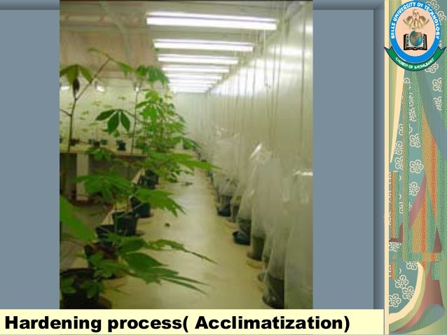 tissue culture methods and applications
